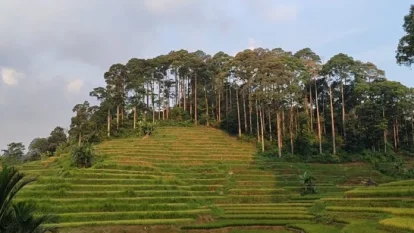 Tanah adat di Kabupaten Lebak, Banten. Foto: Surosowan.id